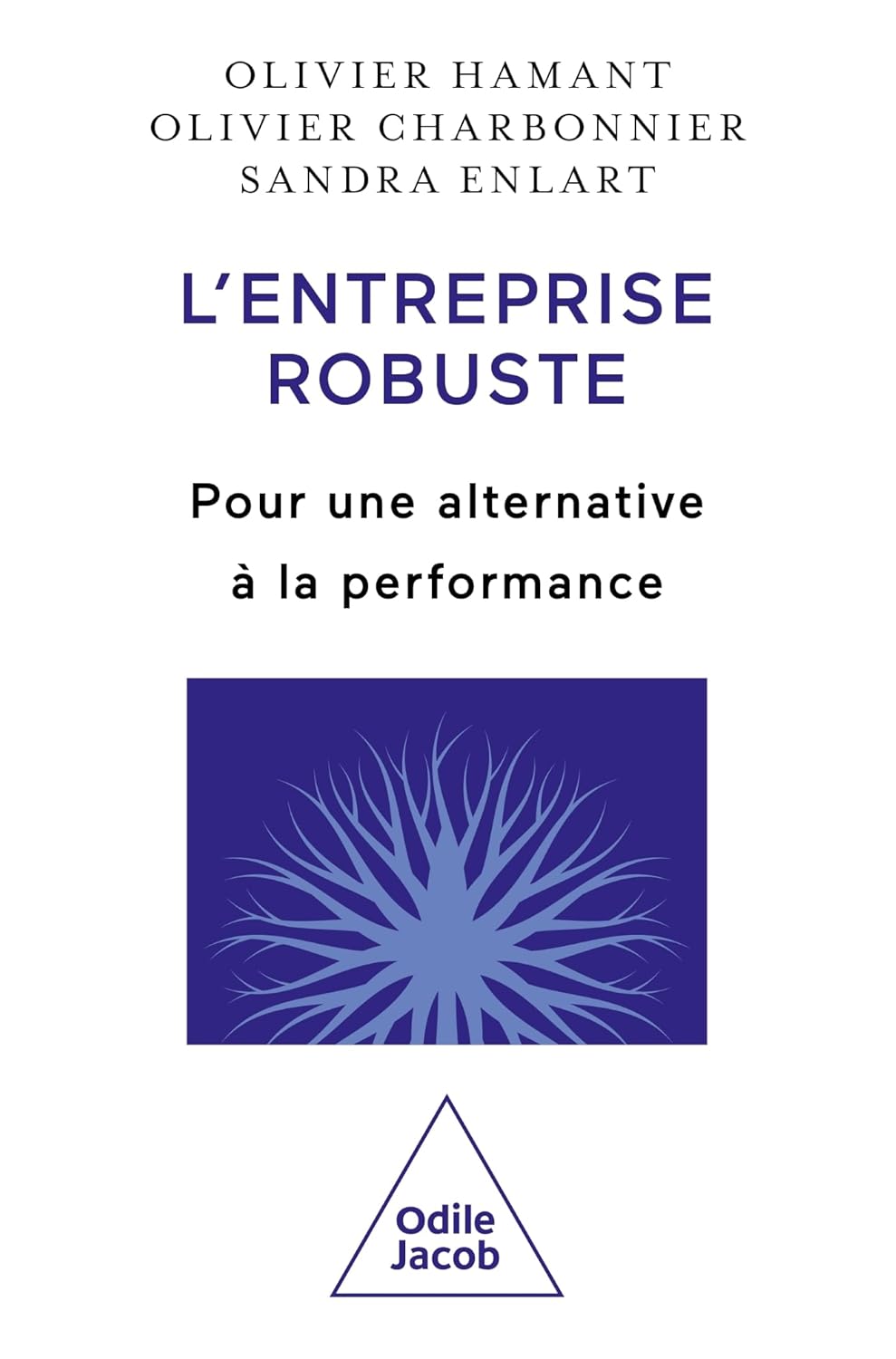 Couverture de L'Entreprise robuste: Pour une alternative à la performance